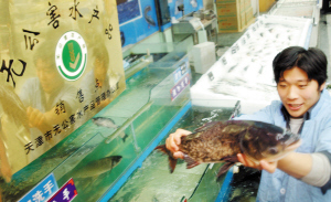 天津:水产品出问题直接找养殖基地