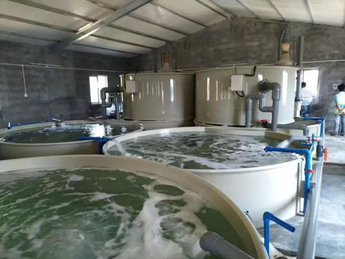 水产养殖设计配置方案时考虑什么