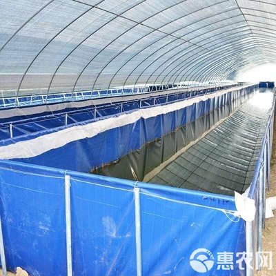 水产养殖网箱 户外大型养殖园形镀锌板帆布鱼池高密度养殖池水