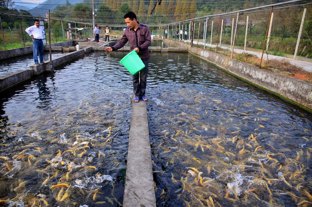 水产养殖业排放控制新规将出允许地方一区一策