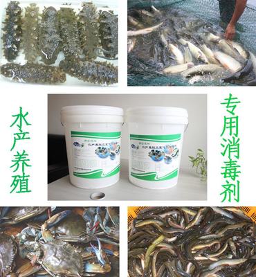 弗雷迪牌水产消毒剂鱼虾蟹泥鳅贝类养殖有效杀灭芽孢病菌直销