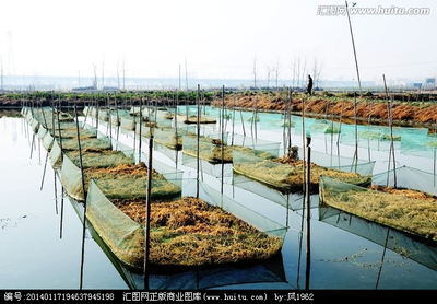 网箱养鱼 现代水产品养殖的高效之路