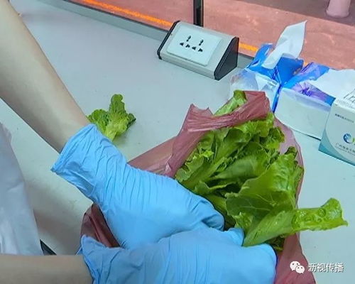 食安生活圈 食品流动检测车——为您的餐桌安全保驾护航