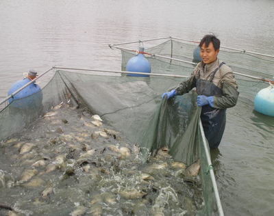 江苏扬州宝应县 水产养殖示范户带动辐射户共创致富之路