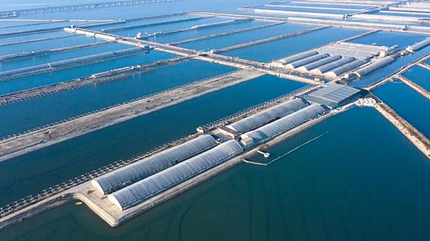 海鲜养殖之美 探索水产品养殖的多彩世界