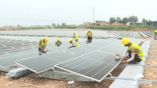 渔光互补创新模式 平原县水上发电水下养鱼项目助农增收