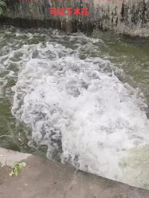 只要你敢，就让你赢 黄骨鱼养殖的水产致富经