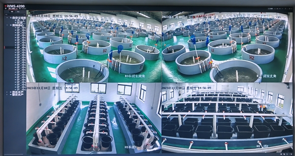 京东以供应链与金融科技为翼，助力水产品养殖业提质增效，全年服务收入增长17.8%彰显实体经济赋能价值