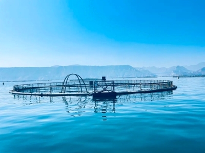 定西市畜牧兽医局 打造渔业经济新增长点，助推甘肃现代渔业高质量发展