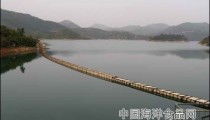 热门水产养殖项目 热门水产品养殖技术 水产品养殖热门种类分析